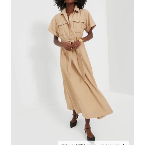 TUCKERNUCK Tan Lucienne Maxi Dress - Picture 2 of 12